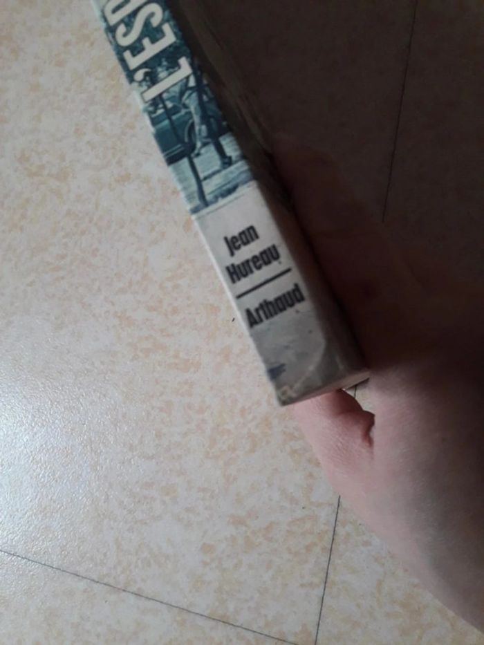 Livre - L'Espagne aujourd'hui - Le voyage en couleurs - photo numéro 4