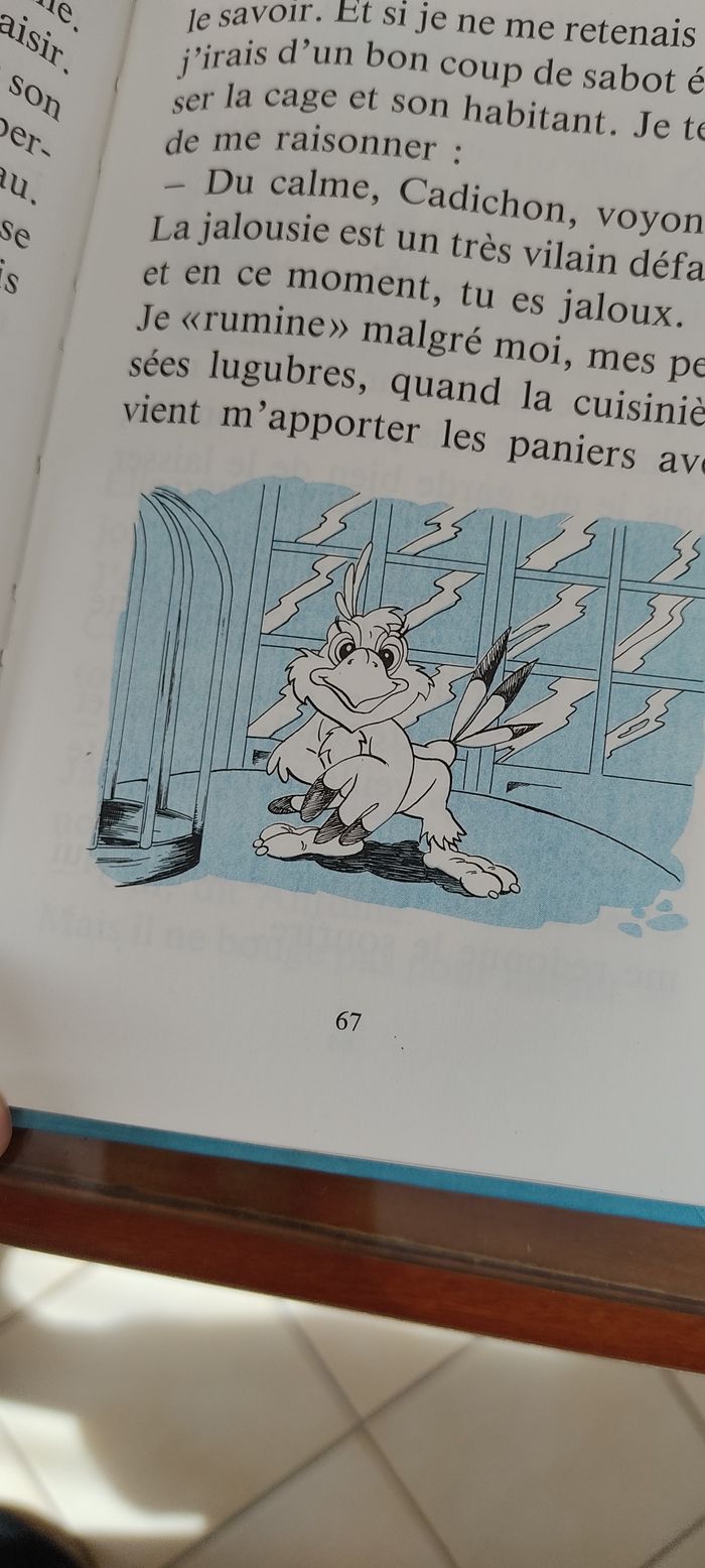 Les mémoires de Cadichon - photo numéro 4