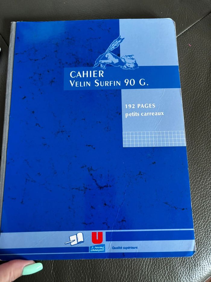 Lot de 2 cahiers grands format Petits carreaux 90 grammes - photo numéro 7