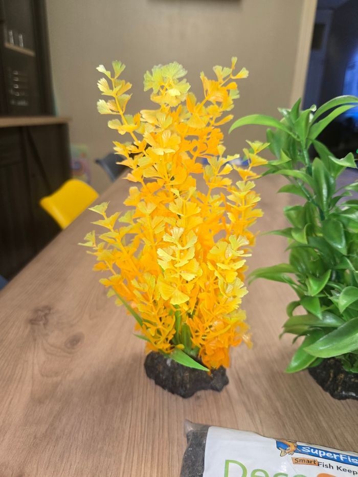 Lot pour aquarium neuf emballé - photo numéro 3