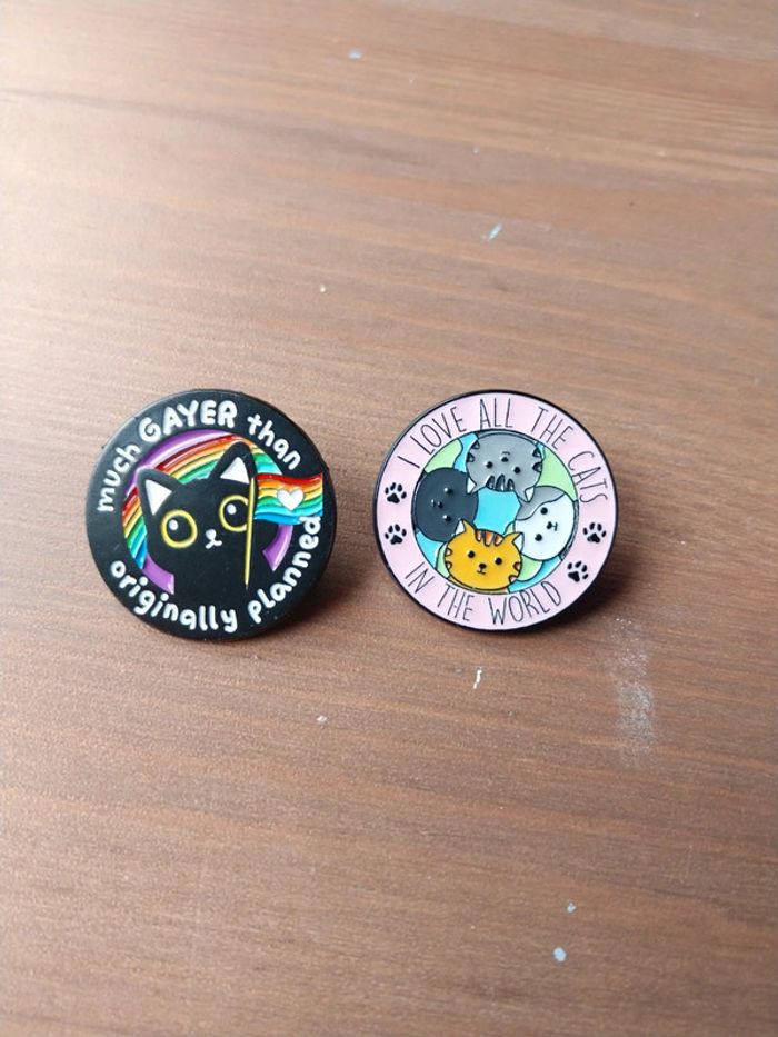 Pins chat a l unité