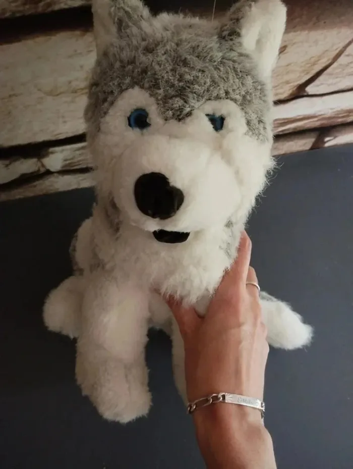 🐻Peluche Husky 🐻 - photo numéro 5