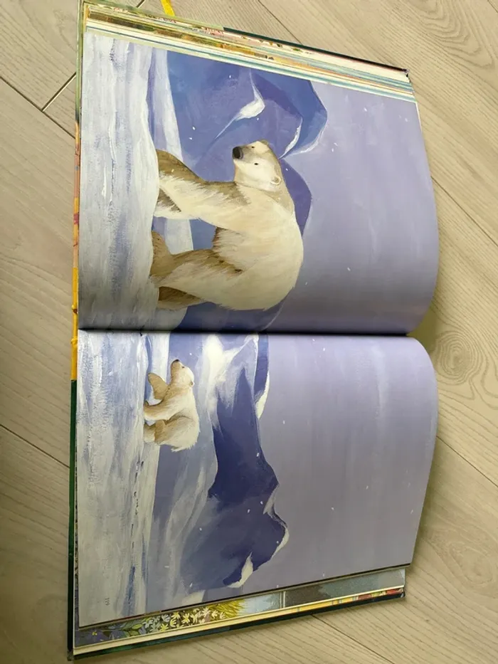 Grand livre enfant ours - photo numéro 6