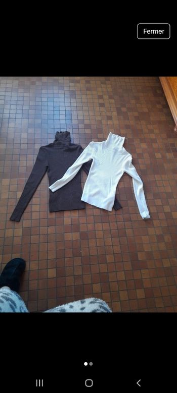 2 pulls col montant
