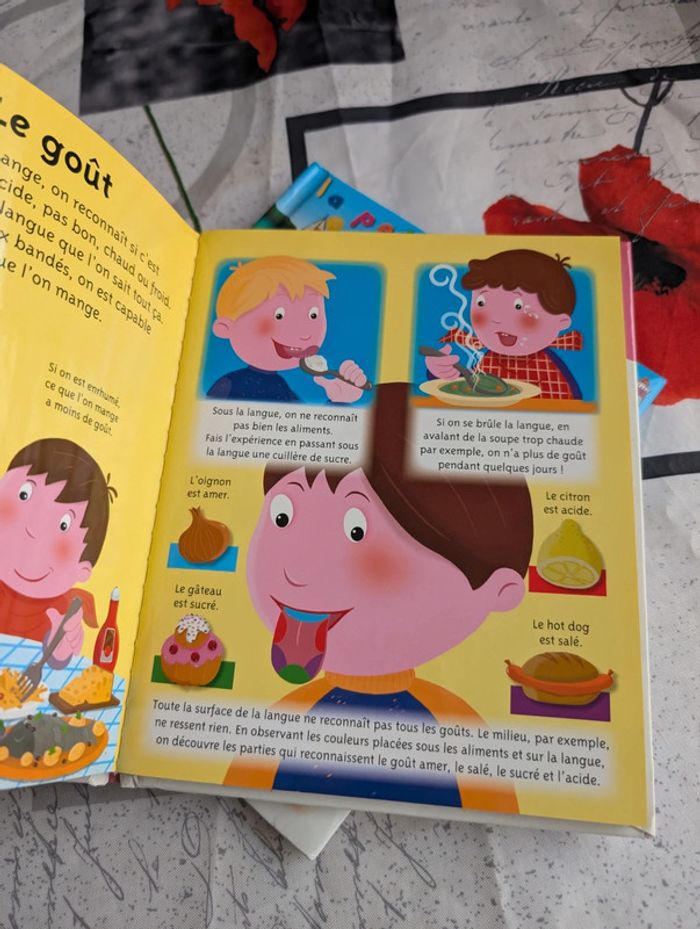 La petite imagerie - photo numéro 8