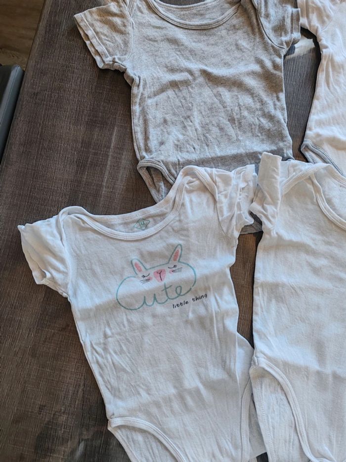 Lot de 6 bodies manches courtes - photo numéro 2