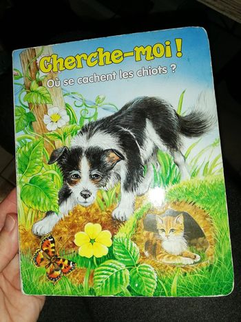 Livre cherche moi
