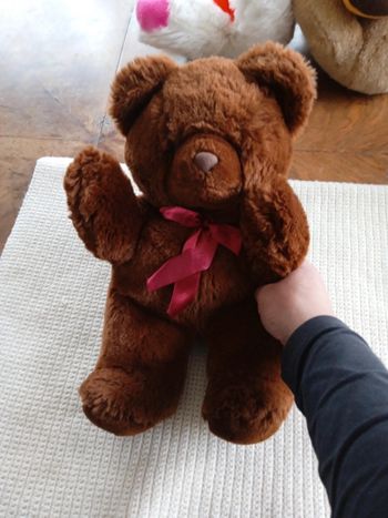 Peluche Ours 🐻
