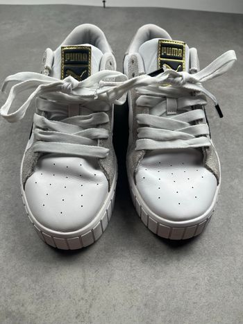 Chaussure puma taille 39