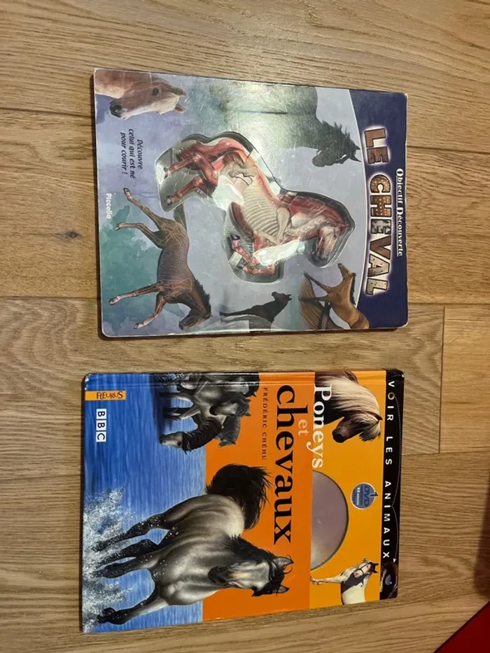 Lot de 2 livres thème cheval - photo numéro 2
