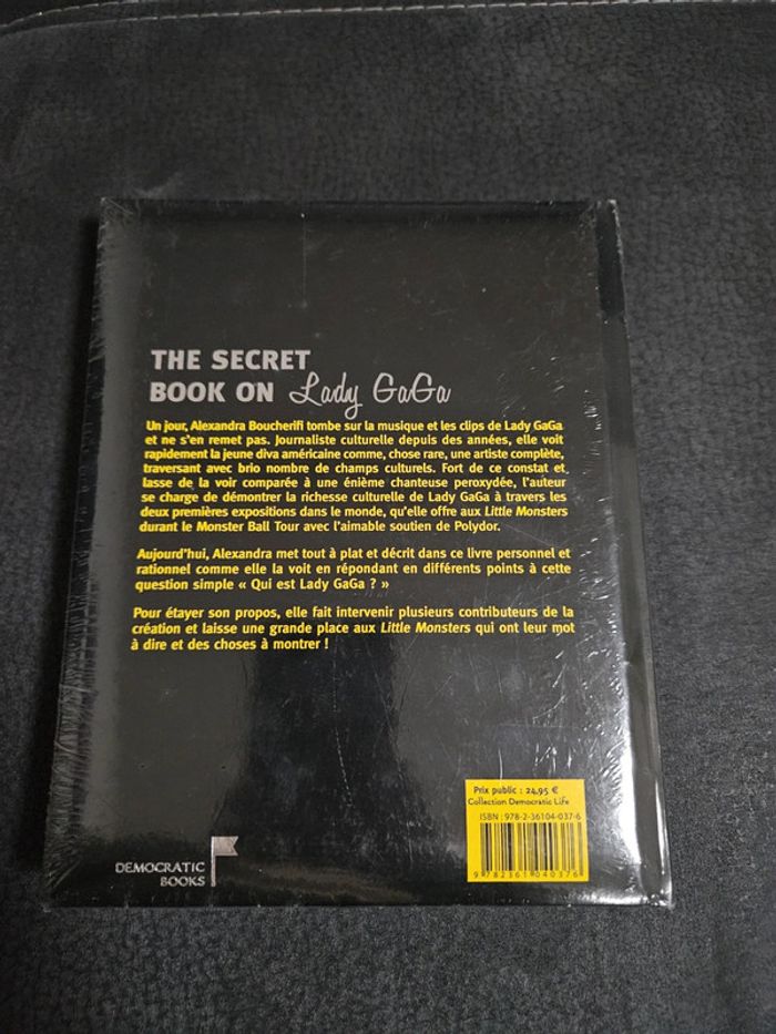 Livre Lady Gaga - photo numéro 2