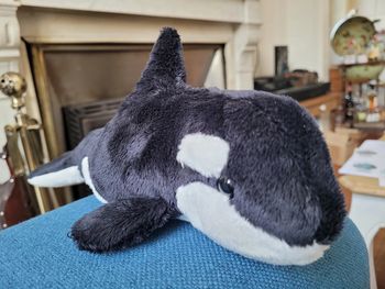 Peluche 31cm Orque Douglas (Baleine, dauphin, océan, mer) doux doudou collection