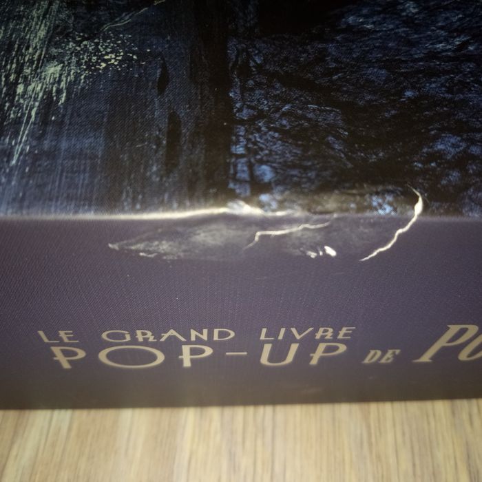 Le grand livre POP-UP de Poudlard - photo numéro 2