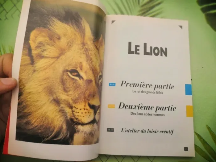 Livre "Le lion" - photo numéro 3