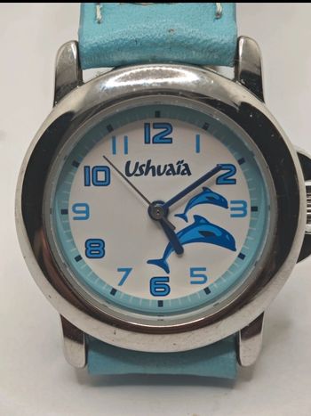 Montre dauphin Ushuaia 