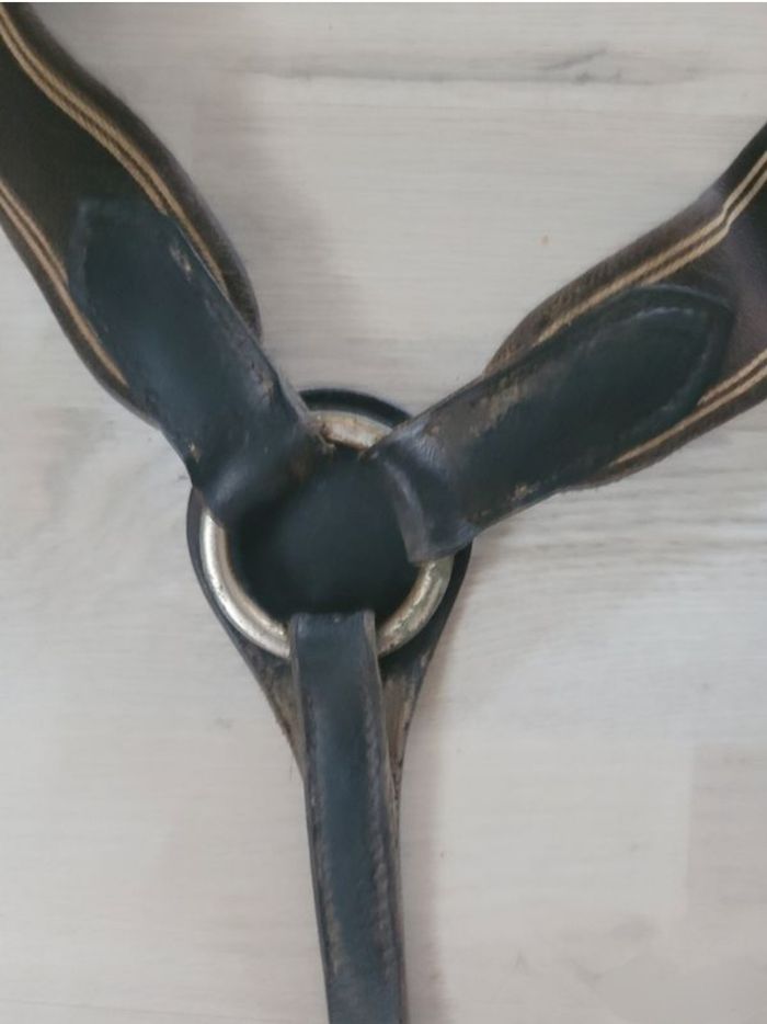 Collier de chasse équitation taille cheval - photo numéro 3