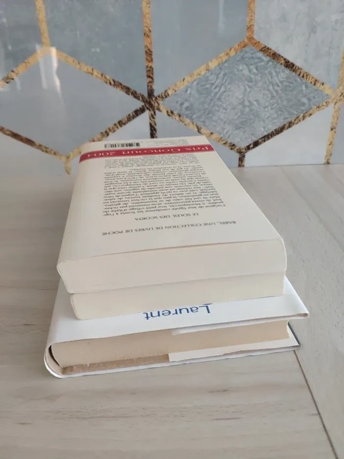 Lot 3 livres Laurent Gaudé soleil des Scorta porte des enfers ouragan - photo numéro 7