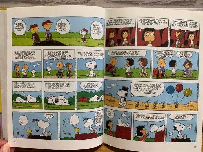 Snoopy prend la tangente - photo numéro 3