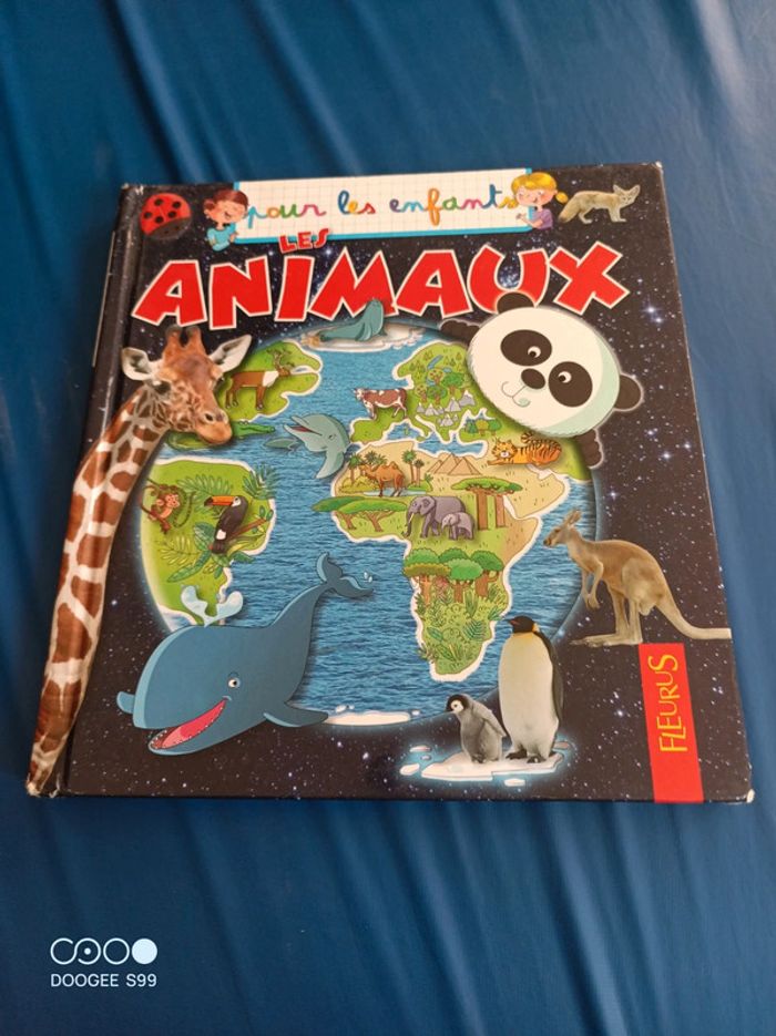 Livre enfants