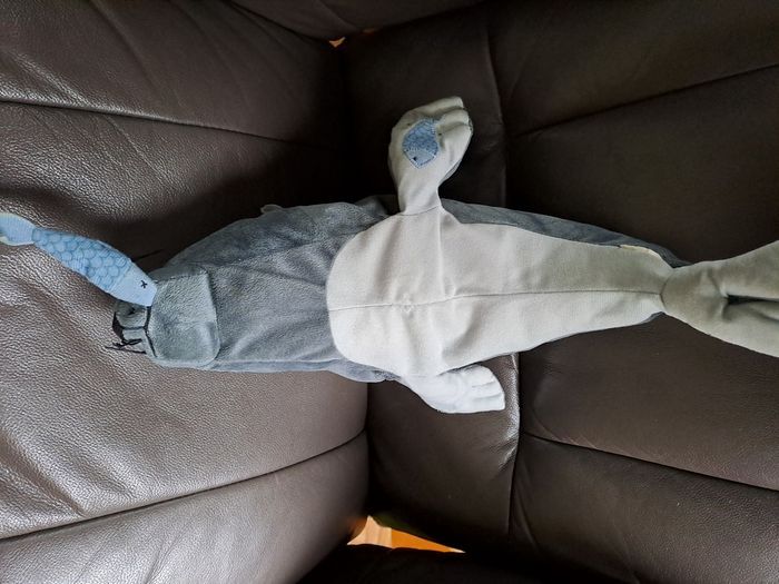 Phoque avec son poisson en bouche - photo numéro 7