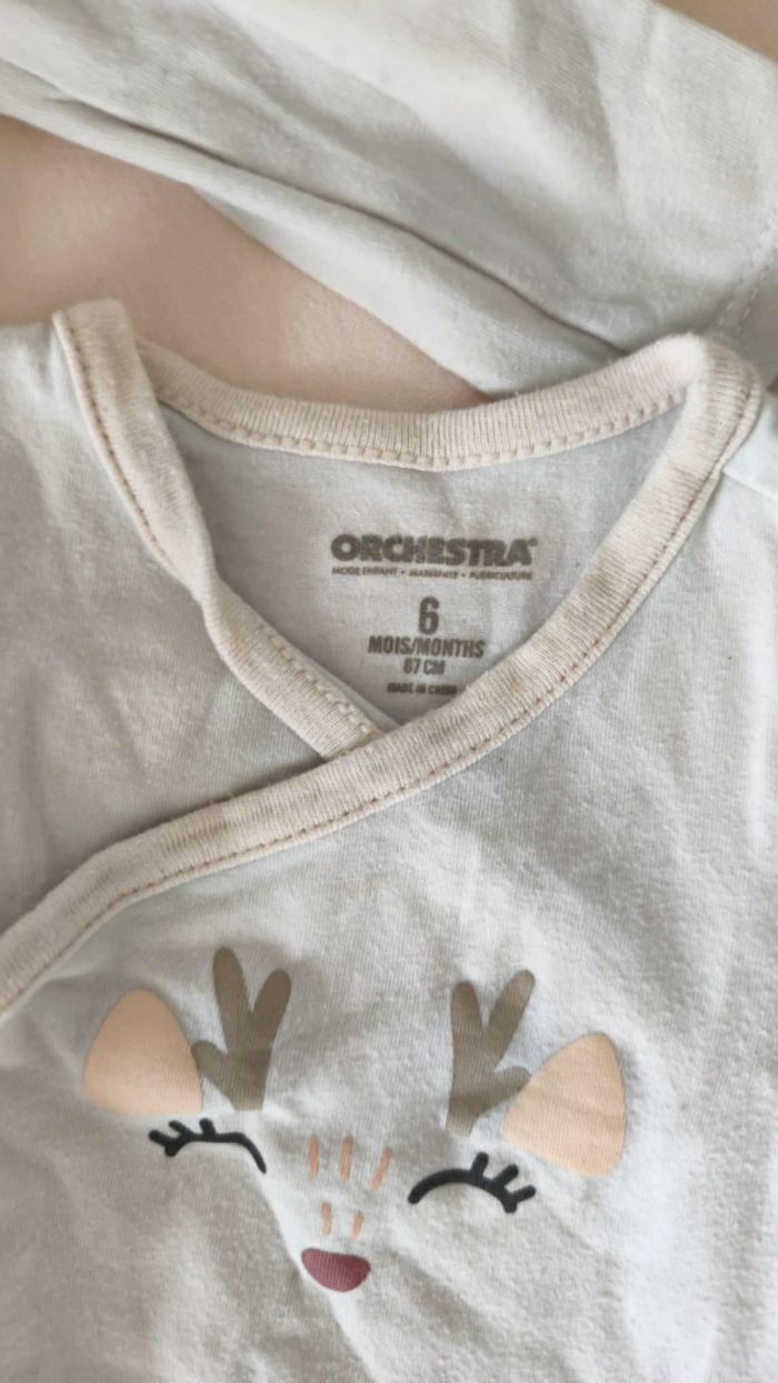 Lot de bodies 6mois - photo numéro 5