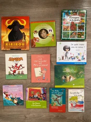 livres pour enfant samsam foret couleurs bisous  kirikou livre de la jungle