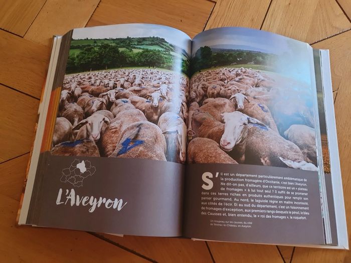 L'encyclopédie des fromages en Occitanie - photo numéro 4