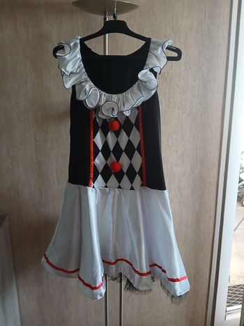Costume/deguisement arlequin femme