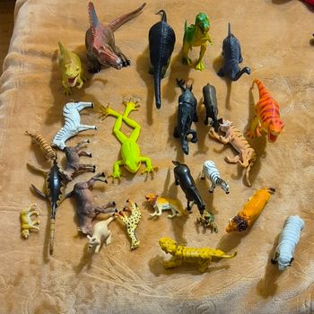 Animaux 