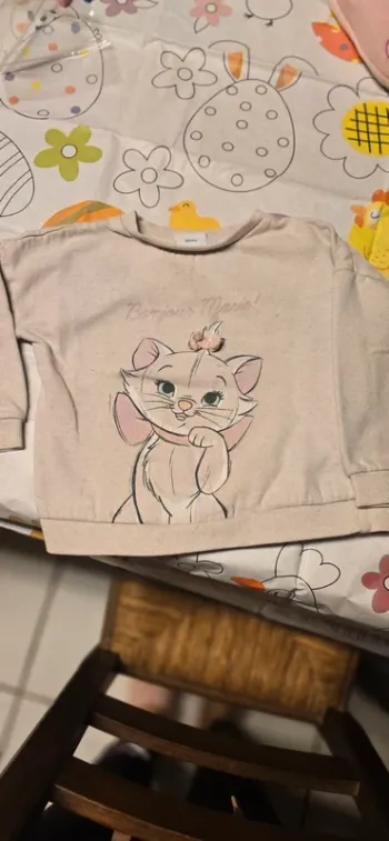 Sweat marie disney
