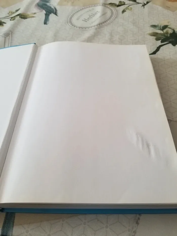 Dictionnaire Anglais - photo numéro 10