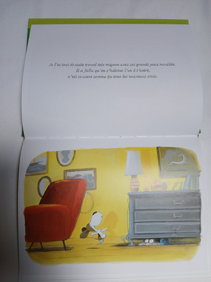 Livre J'en rêvais depuis longtemps - photo numéro 3