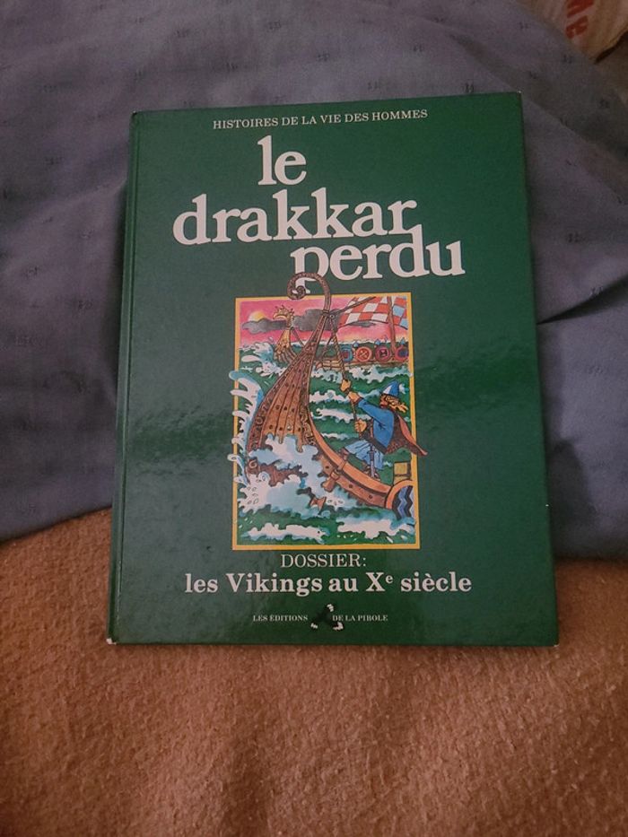 Le drakkar perdu