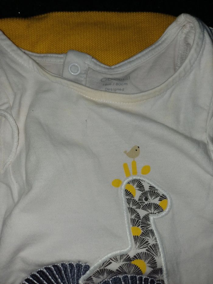 Ensemble obaibi - photo numéro 2