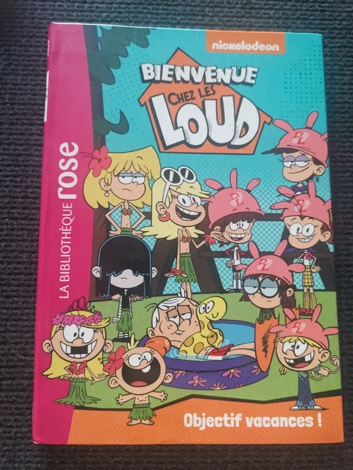 Lot 4 livres bienvenu chez les loud bibliothèque rose - photo numéro 9