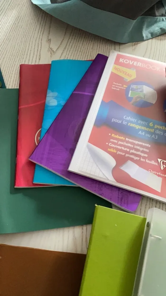 gros lot scolaire classeurs cahiers porte vue etc - photo numéro 4