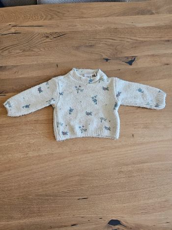 Pull zara fleuri
