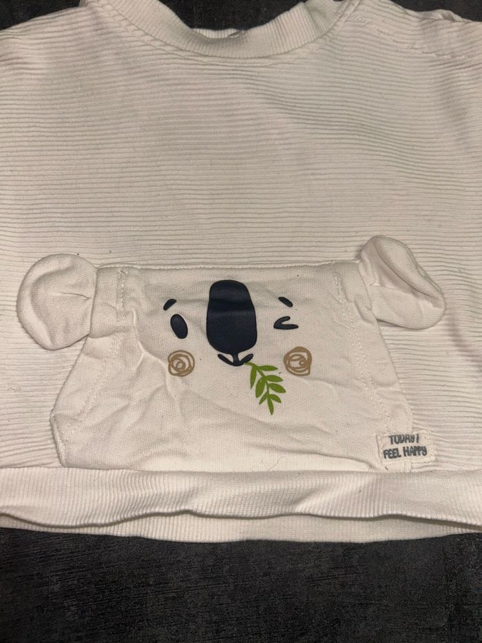 Pull koala - photo numéro 2