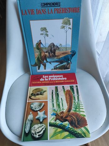 Lot de 2 livres sur la préhistoire
