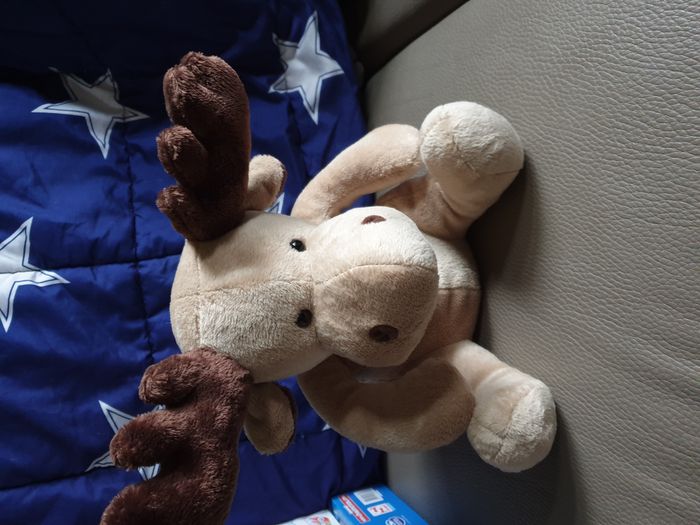 Elan de  Noel - photo numéro 3