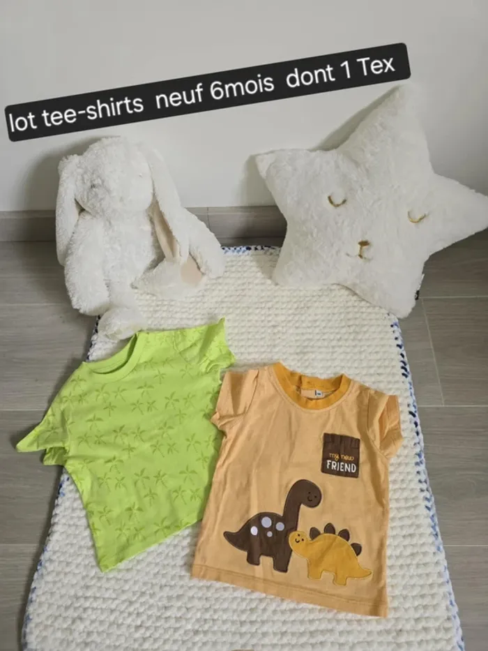 Lot de 2 teeshirt
