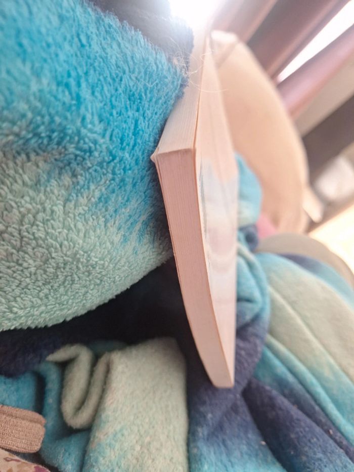 Livre exister relevé du prodige - photo numéro 4