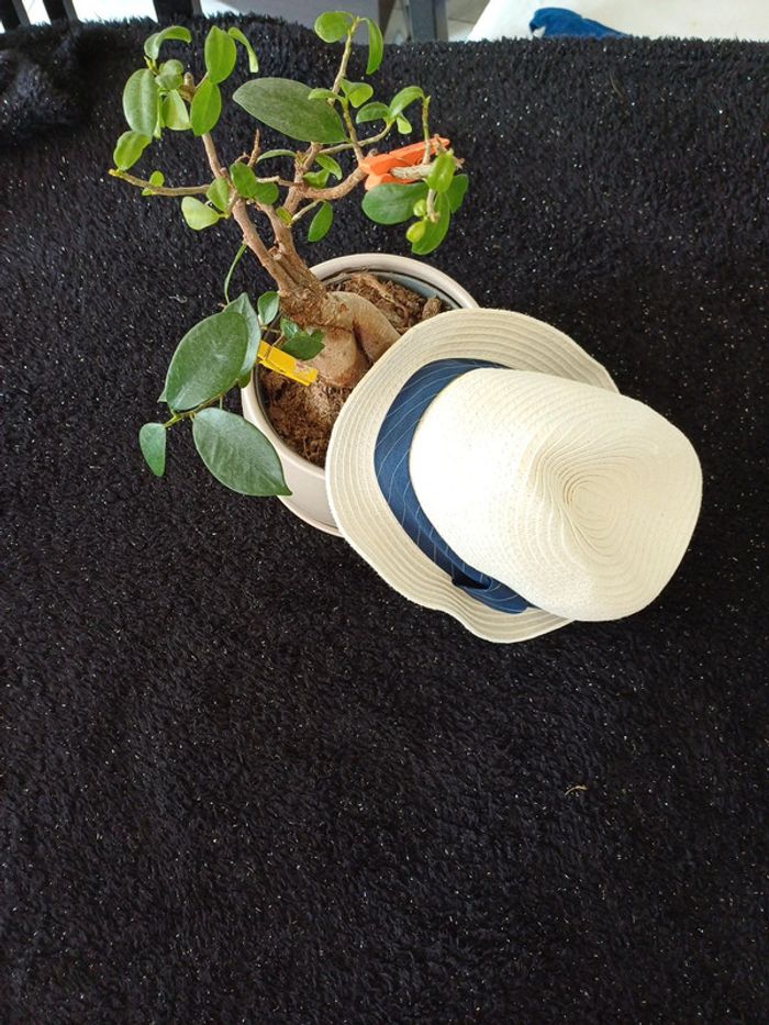 Chapeau tissaia