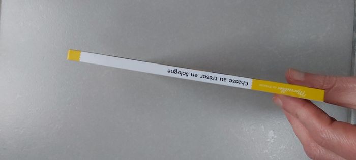 Chasse au trésor en Sologne - photo numéro 2