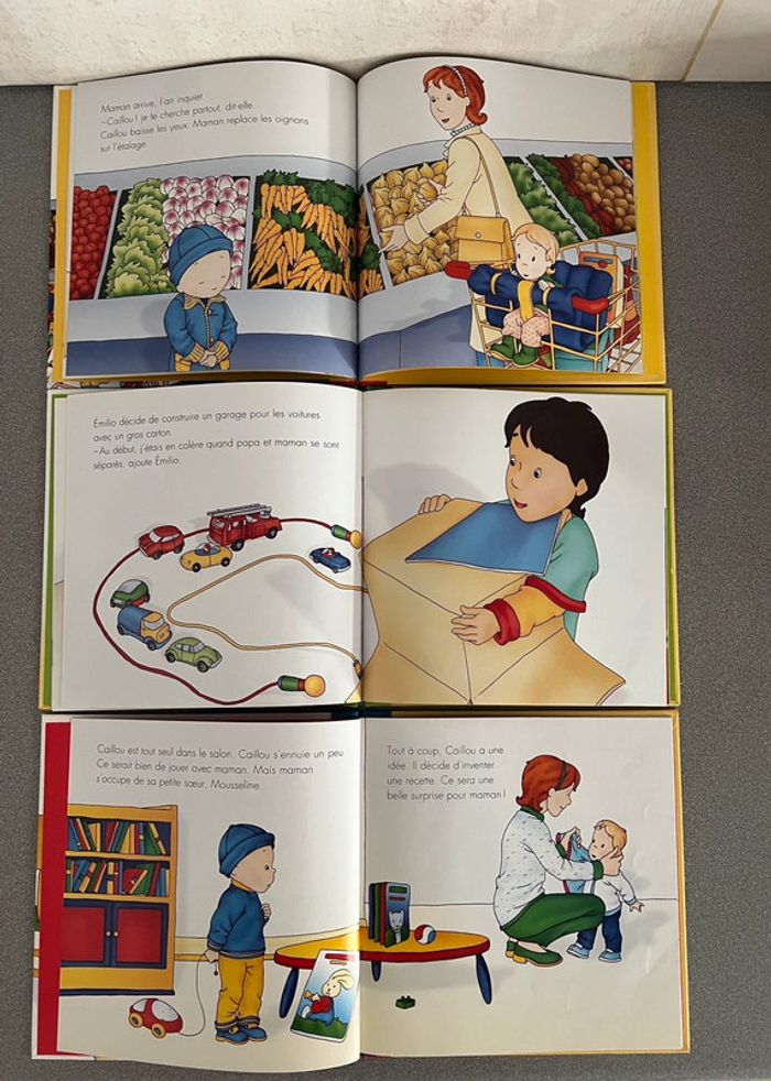 Lot de 6 livres collection Caillou Édition Chouette - photo numéro 7