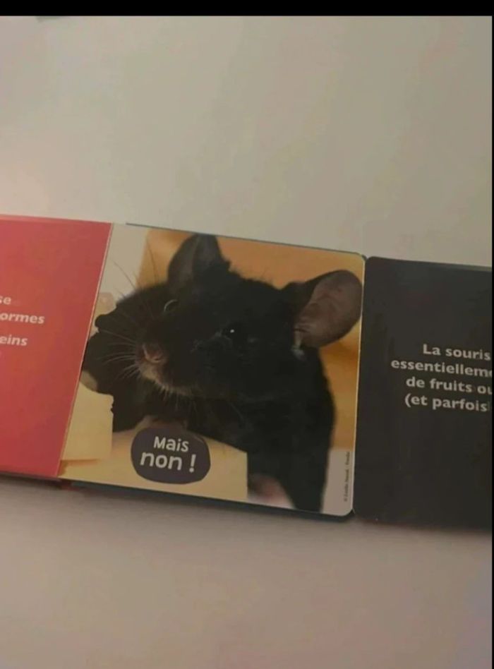 Livre les  animaux  de  compagnie - photo numéro 3