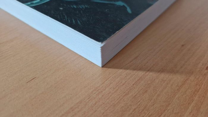 La prophétie des runes de Catherine Cuenca - photo numéro 5