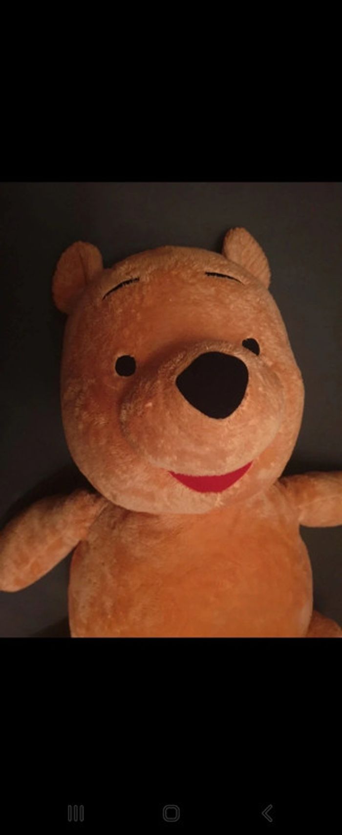 Peluche 60cm Winny l'ourson - photo numéro 5