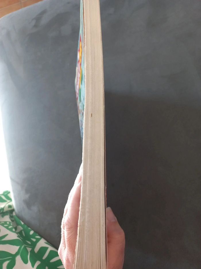 Bd collect or sisters gendarmes mythis profs boulard tome 4 - photo numéro 6