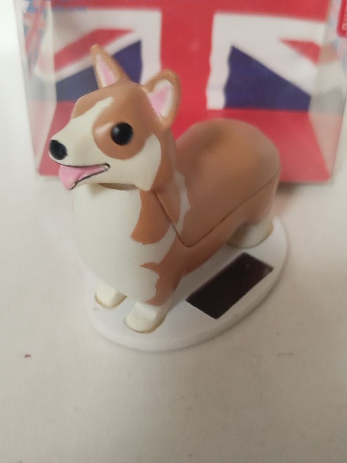 Solar Corgi - Kikkerland - photo numéro 5